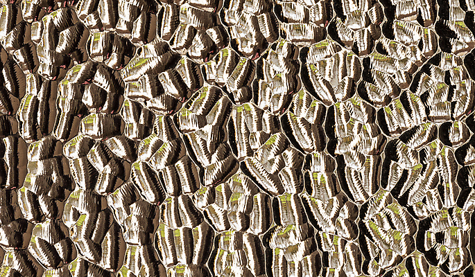 포토 JPG 해외이미지 건축물 안경 백그라운드 패턴 창문 유리 사람없음 수확 투명 역사 묘사 네덜란드 구식 옛날 취급주의 판유리 해외포토 잡화 건축 유럽 무늬 농업 재질 경고 파일형식 이미지허브