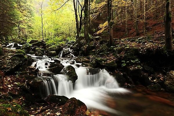 포토 JPG 해외이미지 나무 식물 계절 여행 백그라운드 낙엽 잎 자연 동화 이끼 풍경 사람없음 야외 초록색 물 여름 강 평화 환경 봄 폭포 젖음 바위 나뭇가지 신선 개울 떨어짐 숲 그림 공상 마법 내추럴 강렬 삼림지대 해외포토 자연요소 컬러 컨셉 돌_바위 생태계 파일형식 이미지허브