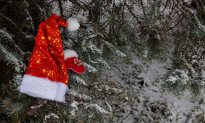 포토 JPG 해외이미지 나무 옷 백그라운드 겨울 휴가 새해 사람없음 야외 장식 빨간색 크리스마스트리 유행 환경 냉동 산책로 추위 흰색 직물 12월 연도 심볼 오브젝트 서리 침엽수 전나무 짜임 1월 양모 고립 눈내림 가문비나무 겨울풍경 손모아장갑 해외포토 식물 계절 길 컬러 장갑 크리스마스 눈_날씨 풍경 날짜 파일형식 이미지허브