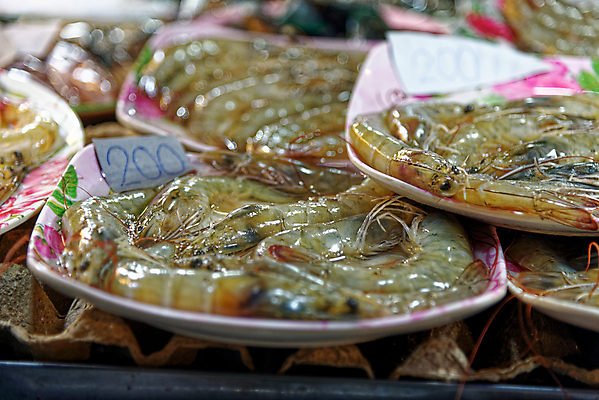 포토 JPG 해외이미지 동물 전통 접시 음식 바다 다이어트 재료 태국 자연 조개 새우 건강 갑각류 어류 요리 사람없음 식당 식사 저녁식사 튀김 신선 뜨거움 시장 맛 그릴 바비큐 굽기 해산물 날것 어장 내추럴 점심식사 길거리음식 태국음식 해외포토 식기 아시아 컨셉 주방용품 어패류 상점 수중동물 구이 생태계 동양음식 파일형식 이미지허브