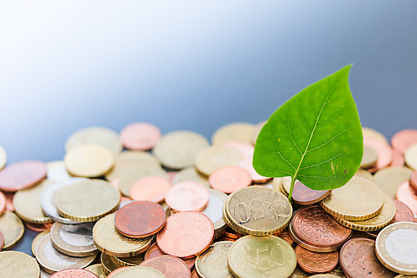 포토 JPG 해외이미지 컨셉 잎 돈 비즈니스 사람없음 초록색 금융 경제 동전 저축 유로 성장 변화 재산 발굴 민트 투자 상승 이익 수익 유지 월급 고용 관심 렌탈 수입 해외포토 식물 컬러 구직 허브 채용 파일형식 이미지허브