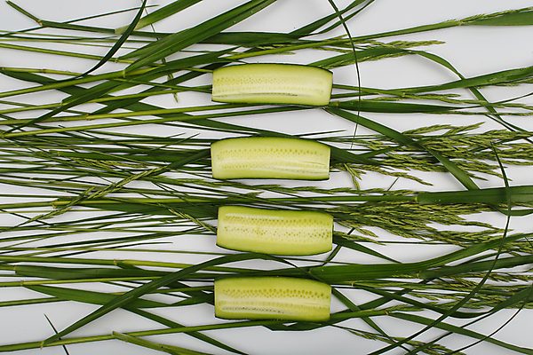 포토 JPG 해외이미지 스튜디오촬영 조각 다이어트 채소 자연 오이 건강 식이요법 요리 사람없음 가로 초록색 샐러드 수확 흰색 신선 그룹 시장 칼 맛 배열 먹기 오브젝트 준비 흰배경 상쾌 슬라이스 건강식 구성 정물화 채식주의자 많음 디톡스 개조 비건 해외포토 감정 음식 컬러 백그라운드 컨셉 농업 모션 실내 그림 생태계 채식 파일형식 이미지허브