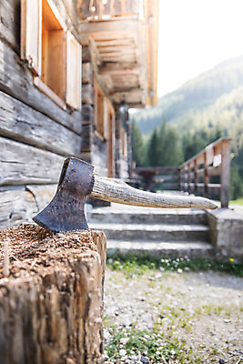 포토 JPG 해외이미지 모양 나무 패턴 자연 사람없음 목재 금속 힘 공구 시골 업무 역사 숲 위험 오두막 자르기 철 오브젝트 날카로움 과거 도끼 나무껍질 벌목 수목 옛날 해외포토 식물 컨셉 무늬 재료 모션 재질 껍질 도구 작업 생태계 파일형식 이미지허브