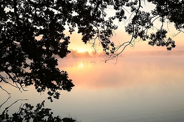 포토 JPG 해외이미지 나무 실루엣 호수 백그라운드 낙엽 잎 오렌지 자연 하늘 아침 풍경 사람없음 야외 물 빛 컬러풀 햇빛 태양 일출 환경 맑음 침묵 일몰 새벽 활발 안개 가을 나뭇가지 연못 저녁 그림 강렬 해외포토 주간 자연요소 식물 계절 컬러 컨셉 과일 날씨 촬영기법 노을 소리 야간 생태계 파일형식 이미지허브