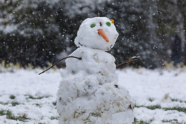 포토 JPG 해외이미지 나무 계절 공원 백그라운드 잎 겨울 눈사람 버튼 날씨 휴가 새로움 사람없음 야외 빛 울타리 정원 얼음 당근 추위 흰색 나뭇가지 인사 도시 스페인 북극 코 서리 장면 지역 폭풍 일반 눈보라 눈덩이 1월 나쁜 마드리드 눈내림 해외포토 자연요소 식물 공공시설 유럽 컬러 컨셉 뿌리채소 눈_날씨 신체부위 담장 예절 날짜 극지방 파일형식 이미지허브