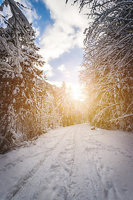 포토 JPG 해외이미지 계절 길 여행 크리스마스 겨울 자연 하늘 날씨 휴가 산 풍경 사람없음 야외 햇빛 태양 걷기 추위 백발 나뭇가지 시골 황무지 영혼 오스트리아 숲 오솔길 12월 장면 1월 루트 삼림지대 잘츠부르크 눈내림 겨울풍경 해외포토 자연요소 나무 헤어스타일 기념일 유럽 모션 눈_날씨 날짜 생태계 파일형식 이미지허브
