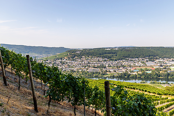 포토 JPG 해외이미지 유럽 여행 자국 휴가 산 독일 파노라마 사람없음 강 태양 걷기 와인 계곡 자전거 크루즈 레드와인 화이트와인 언덕 포도밭 해외포토 자연요소 나라 밭 배_교통 모션 주류 촬영기법 바이크 파일형식 이미지허브