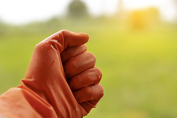 포토 JPG 해외이미지 백인 손 장갑 백그라운드 컨셉 신체 부분 가족 자연 함께함 건강 사랑 사람 성인 사람없음 우정 흰색 잡기 농부 팔 돌봄 헬프 해외포토 서양인 직업 잡화 감정 컬러 관계 모션 신체부위 친구 도움 생태계 파일형식 이미지허브