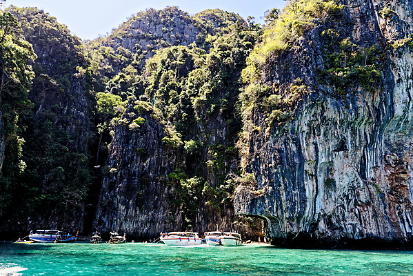포토 JPG 해외이미지 동물 아시아 야생동물 모래 바다 섬 여행 포유류 태국 자연 하늘 휴가 휴식 산 손바닥 풍경 사람없음 물 여름 관광지 야자수 맑음 침묵 원숭이 만 고급 휴양지 석호 내추럴 안다만 이국적 푸켓 해외포토 자연요소 나무 손 계절 나라 컨셉 날씨 소리 장소 생태계 파일형식 이미지허브