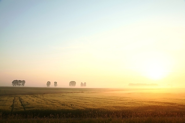 포토 JPG 해외이미지 계절 도로 길 밭 농업 오렌지 자연 하늘 아침 파노라마 옥수수 풍경 사람없음 여름 빛 농작물 컬러풀 햇빛 태양 농경지 우주 일출 맑음 침묵 일몰 봄 새벽 활발 수확 안개 시골 신선 황금 낟알 시리얼 밀 장면 뿌연 호밀 수평선 해외포토 주간 자연요소 산업 음식 컬러 컨셉 과일 교통시설 날씨 곡류 촬영기법 농장 노을 소리 생태계 파일형식 이미지허브