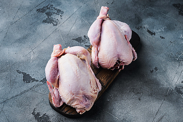 포토 JPG 해외이미지 생고기 사람없음 닭고기 생닭 해외포토 육류 닭 파일형식 이미지허브