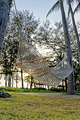 포토 JPG 해외이미지 나무 라이프스타일 공원 밧줄 바다 여행 컨셉 태국 자연 하늘 호텔 휴가 휴식 풍경 사람없음 야외 목재 초록색 여름 농장 정원 맑음 침묵 시골 잠 그물 놀이터 그네 시골집 원예 휴양지 매듭 해먹 망사 뒤뜰 파라다이스 안락 해외포토 식물 계절 공공시설 아시아 줄 컬러 농업 재료 놀이 숙소 날씨 주택 취미 생활 소리 장소 침대 직물 생태계 파일형식 이미지허브