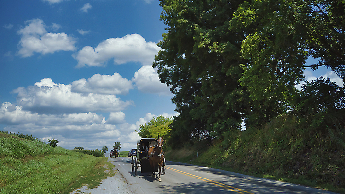 포토 JPG 해외이미지 동물 전통 종교 도로 길 여행 농업 교통시설 자연 사람없음 야외 유행 봄 활발 장비 수확 시골 역사 농부 복고 마차 유모차 구식 해외포토 직업 계절 산업 교통수단 교통 컨셉 아기용품 시설 생태계 파일형식 이미지허브