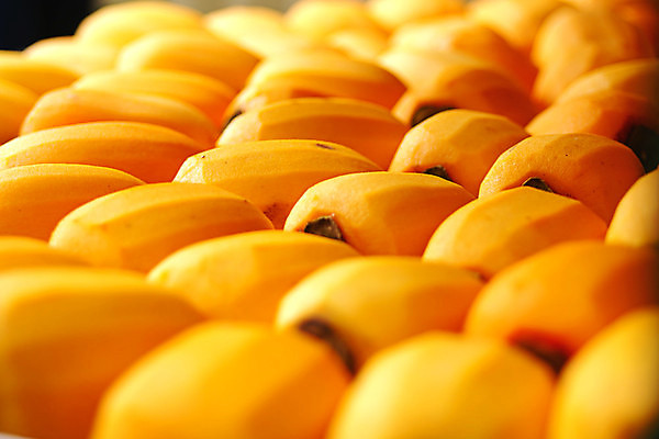 포토 JPG 해외이미지 주간 건조 감 사람없음 야외 햇빛 여러개 제조 건과일 해외포토 자연요소 다수 과일 태양 파일형식 이미지허브