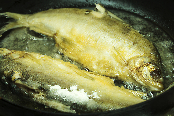 포토 JPG 해외이미지 음식 주택 육류 어류 스테이크 요리 사람없음 주방 식당 요리사 식사 저녁식사 튀김 잡기 뜨거움 프라이팬 그릴 굽기 먹기 해산물 준비 날것 레시피 난방 영수증 건강식 내추럴 식품점 영양분 음식준비 화상 해외포토 직업 식재료 모션 주방용품 서양음식 건물 금융 상점 수중동물 상처 구이 파일형식 이미지허브