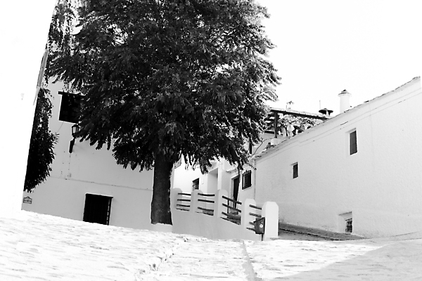 포토 JPG 해외이미지 식물 여행 가구 쿠션 벤치 의자 베개 아프리카 탁자 호텔 주택 흑백 사람없음 내부 장식 관광지 정원 검은색 흰색 휴게실 분위기 고급 디자이너 심플 지역 계단식 리빙 메디나 스타일 카피스페이스 그리너리 해외포토 직업 나라 컬러 생활용품 컨셉 침구 숙소 촬영기법 건물 공백 파일형식 트랜드컬러 이미지허브