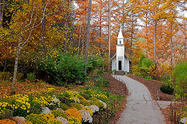 포토 JPG 해외이미지 나무 식물 계절 공원 기독교 종교 도로 길 여행 백그라운드 컨셉 십자가 건축양식 자연 산 안내 주택 사람없음 야외 목재 초록색 노란색 믿음 환경 희망 기도 도시 황무지 숲 신비 침엽수 설교 내추럴 종료 교외 복음 신앙심 옛날 철책 해외포토 공공시설 건축 감정 컬러 재료 교통시설 건물 생태계 파일형식 이미지허브