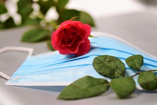 포토 JPG 해외이미지 꽃 분홍색 백그라운드 휴가 발렌타인데이 건강 마스크 사람없음 장미 벚꽃 닫기 보호 예방 떠남 해외포토 식물 컬러 컨셉 모션 데이이벤트 파일형식 이미지허브