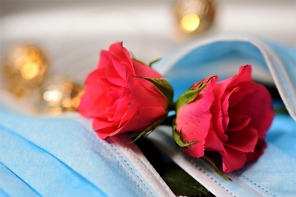 포토 JPG 해외이미지 꽃 분홍색 백그라운드 휴가 발렌타인데이 건강 마스크 사람없음 옆모습 빛 장미 벚꽃 닫기 보호 예방 떠남 해외포토 식물 뷰포인트 컬러 컨셉 모션 데이이벤트 파일형식 이미지허브