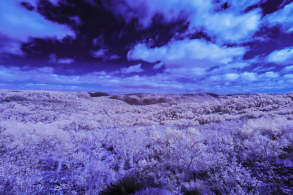 포토 JPG 해외이미지 여행 잎 자연 하늘 산 건조 흑백 사람없음 파란색 환경 나뭇가지 호주 땅 언덕 장면 지역 가뭄 적외선 수평선 해외포토 나무 식물 컬러 날씨 촬영기법 오세아니아 생태계 파일형식 이미지허브