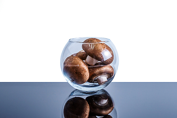 포토 JPG 해외이미지 음식 백그라운드 채소 재료 자연 탁자 건강 요리 사람없음 가로 컬러풀 갈색 식사 버섯 수확 신선 맛 준비 유기농 날것 곰팡이 생식 식용 해외포토 웰빙 컬러 가구 컨셉 농업 생태계 파일형식 이미지허브