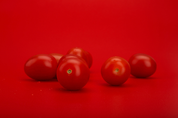 포토 JPG 해외이미지 스튜디오촬영 컨셉 다이어트 토마토 채소 재료 자연 함께함 실내 건강 요리 사람없음 가로 빨간색 빛 컬러풀 활발 신선 체리 그룹 자르기 상쾌 에코 유기농 심플 광택 건강식 내추럴 비타민C 완벽 정물화 채식주의자 해외포토 웰빙 감정 음식 컬러 과일 모션 내부 환경 그림 생태계 채식 비타민 파일형식 이미지허브