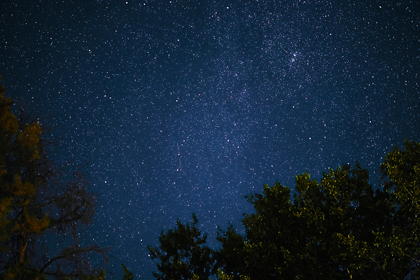 포토 JPG 해외이미지 별 밤하늘 나뭇잎 사람없음 야외 분위기 야간 감성 몽환 해외포토 자연요소 컨셉 잎 하늘 파일형식 이미지허브