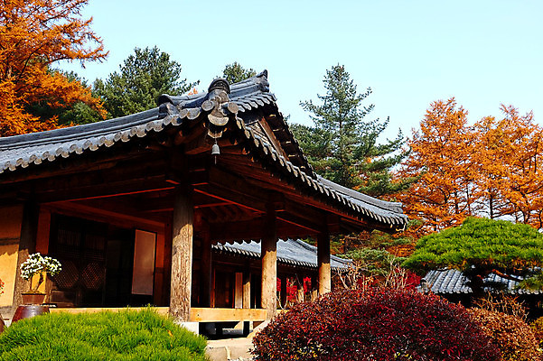 포토 JPG 해외이미지 나무 전통 외관 아시아 문화 단풍 잎 오렌지 건축양식 하늘 지붕 주택 한국 동양인 사람없음 야외 건물 목재 빨간색 빛 태양 노란색 문 우주 정원 맑음 방 기둥 타일 심플 민화 옛날 스타일 해외포토 자연요소 식물 건축물 건축 나라 컬러 과일 재료 날씨 인종 그림 파일형식 이미지허브