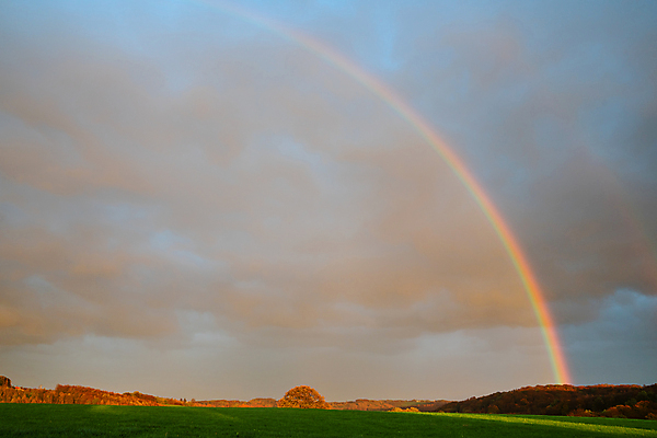 포토 JPG 해외이미지 나무 식물 무지개 자연 하늘 파노라마 사람없음 야외 파란색 햇빛 환경 맑음 황혼 일몰 새벽 시골 저녁 숲 생태계 내추럴 해외포토 자연요소 컬러 날씨 촬영기법 태양 노을 야간 파일형식 이미지허브