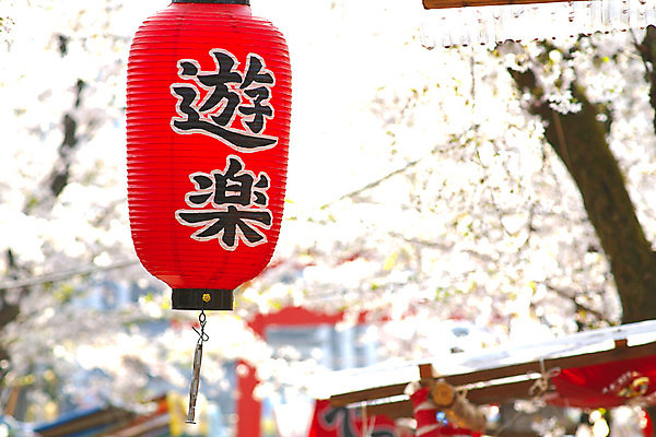 포토 JPG 해외이미지 나무 캐릭터 전통 공원 꽃 행복 아시아 종교 문화 여행 백그라운드 겨울 놀이 새해 동양인 사람없음 야외 빛 정원 일본 축제 봄 벚꽃 흰색 등불 사찰 역사 시장 공평 강렬 교토 사당 해외포토 식물 계절 공공시설 감정 나라 컬러 종교건축 조명 인종 파일형식 이미지허브