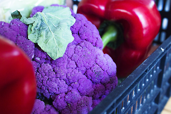 포토 JPG 해외이미지 식물 음식 백그라운드 잎 농업 다이어트 채소 재료 자연 건강 요리 사람없음 초록색 보라색 수확 흰색 신선 시장 브로콜리 유기농 날것 라일락 건강식 내추럴 고립 채식주의자 비건 해외포토 웰빙 꽃 산업 컬러 생태계 채식 파일형식 이미지허브