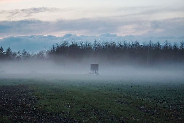 포토 JPG 해외이미지 나무 구름 백그라운드 겨울 밭 오렌지 자연 하늘 풍경 사람없음 야외 빨간색 초록색 파란색 어둠 일몰 회색 안개 가을 시골 저녁 숲 뿌연 해외포토 자연요소 식물 계절 컬러 농업 과일 날씨 노을 야간 생태계 파일형식 이미지허브