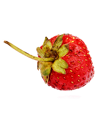 포토 JPG 해외이미지 열매 음식 백그라운드 잎 다이어트 과일 자연 벽지 딸기 디저트 프레임 건강 사람없음 빨간색 초록색 여름 컬러풀 정원 주스 봄 수확 신선 달콤 맛 아침식사 먹기 유기농 질감 내추럴 고립 숙성 채식주의자 해외포토 식물 웰빙 계절 음료 컬러 컨셉 농업 모션 식사 생태계 채식 파일형식 이미지허브