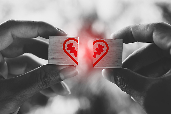 포토 JPG 해외이미지 주간 손 흑백 사랑 들기 야외 아웃포커스 신체부위 블록 하트 해외포토 자연요소 모양 감정 모션 촬영기법 사람 파일형식 이미지허브