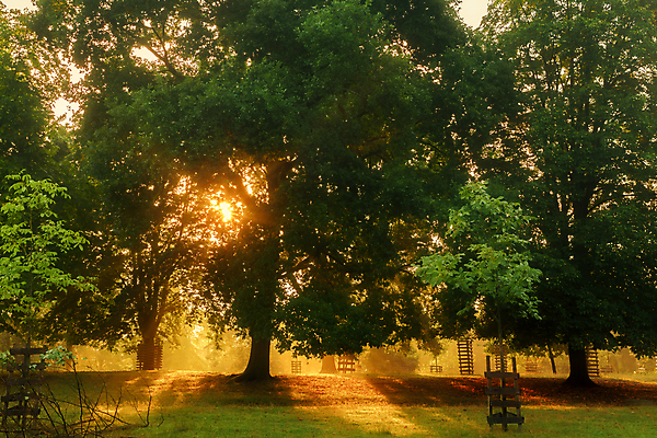 포토 JPG 해외이미지 나무 식물 계절 잎 벤치 자연 아침 날씨 휴가 휴식 그림자 사람없음 야외 목재 초록색 물 빛 강 햇빛 태양 뷰티 노란색 평화 환경 맑음 침묵 일몰 안개 광선 시골 저녁 숲 뿌리 땅바닥 해외포토 주간 자연요소 컬러 컨셉 의자 재료 바닥 노을 소리 야간 생태계 파일형식 이미지허브