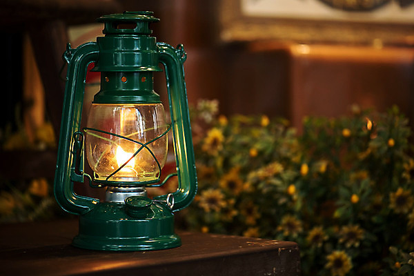 포토 JPG 해외이미지 꽃 백그라운드 잎 벤치 가이드 유리 표면 불 불꽃 안내 따뜻함 손잡이 경기 사람없음 야외 내부 목재 가로 빛 갈색 금속 정원 어둠 희망 새벽 장비 수확 등불 램프 잡기 고독 야간 오브젝트 복고 소재 장면 우울감 조작 화상 해외포토 자연요소 나무 식물 직업 감정 스포츠 컬러 농업 의자 재료 모션 재질 조명 상처 파일형식 이미지허브