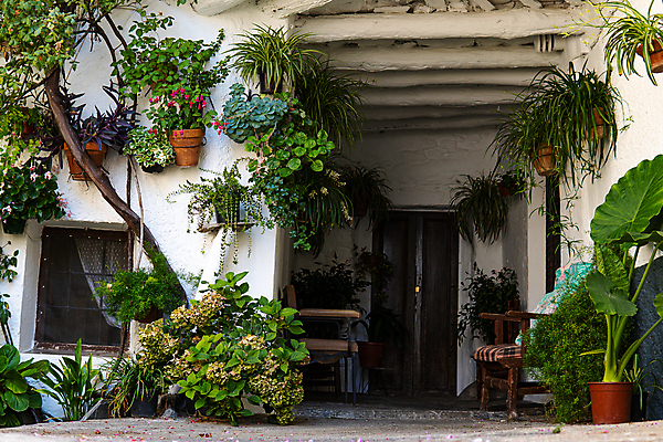 포토 JPG 해외이미지 식물 외관 계절 꽃 아시아 선 벽 가구 잎 꽃무늬 벤치 의자 공 베개 자연 휴식 바닥 주택 동양인 사람없음 목재 장식 초록색 여름 계단 정원 일본 보라색 봄 성장 조약돌 바위 흰색 등불 작음 제비꽃 대나무 원예 계단식 단계 이국적 해외포토 나무 나라 컬러 생활용품 컨셉 무늬 재료 침구 조명 인종 취미 건물 돌_바위 크기 생태계 파일형식 이미지허브