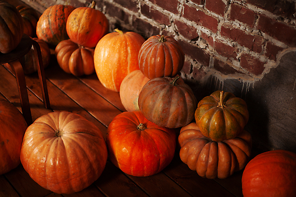 포토 JPG 해외이미지 계절 음식 백그라운드 컨셉 농업 채소 오렌지 자연 호박 휴가 바닥 건강 사람없음 목재 장식 노란색 정원 축제 할로윈 수확 신선 닫기 유기농 추수감사절 10월 내추럴 해외포토 나무 웰빙 산업 기독교 컬러 과일 재료 모션 날짜 생태계 파일형식 이미지허브