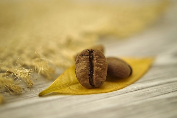 포토 JPG 해외이미지 전통 커피 음료 음식 백그라운드 패턴 농업 재료 탁자 아침 콩 씨앗 사람없음 목재 갈색 노란색 검은색 어둠 카페 에너지 신선 맛 아침식사 낟알 굽기 질감 아로마 향 카푸치노 에스프레소 내추럴 단절 모카 카페인 해외포토 주간 나무 식물 산업 컬러 가구 컨셉 무늬 곡류 상점 식사 구이 파일형식 이미지허브