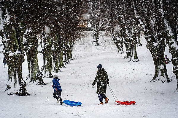 포토 JPG 해외이미지 나무 라이프스타일 계절 공원 유럽 여행 겨울 자연 눈사람 날씨 휴가 덴마크 사람 성인 사람없음 야외 뷰티 걷기 정원 얼음 산책 흰색 눈송이 숲 내추럴 옛날 코펜하겐 폭설 눈내림 해외포토 자연요소 식물 공공시설 나라 컬러 모션 휴식 눈_날씨 북유럽 생활 자연재해 생태계 파일형식 이미지허브
