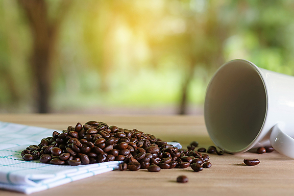 포토 JPG 해외이미지 커피 음료 음식 백그라운드 농업 다이어트 재료 자연 디저트 콩 건조 건강 씨앗 사람없음 목재 갈색 카페 흰색 신선 맛 아침식사 굽기 유기농 질감 날것 아로마 에스프레소 내추럴 모카 채식주의자 카페인 해외포토 나무 식물 웰빙 산업 컬러 컨셉 곡류 상점 식사 구이 생태계 채식 파일형식 이미지허브