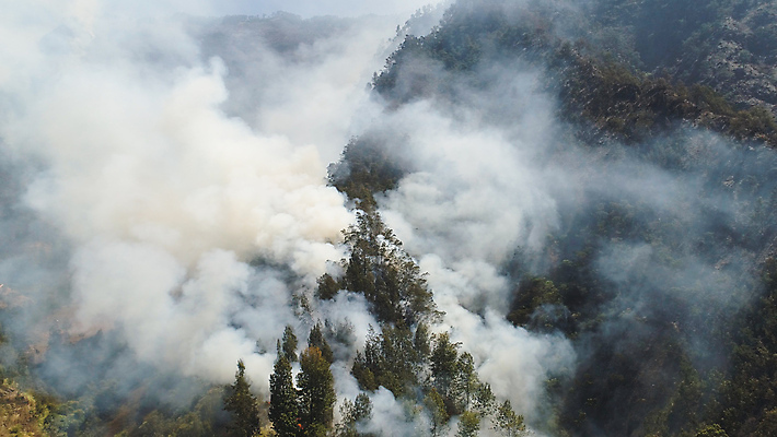 포토 JPG 해외이미지 나무 불 산 사람없음 야외 연기 숲 위험 산불 연소 해외포토 자연요소 식물 컨셉 화재 파일형식 이미지허브