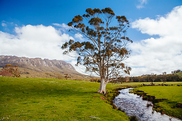 포토 JPG 해외이미지 여행 밭 농업 자연 하늘 산 파노라마 사람없음 야외 초록색 물 파란색 강 뷰티 농경지 맑음 봄 시골 개울 황무지 호주 숲 언덕 그림 내추럴 밭일 해외포토 자연요소 계절 산업 컬러 날씨 촬영기법 농장 오세아니아 생태계 파일형식 이미지허브
