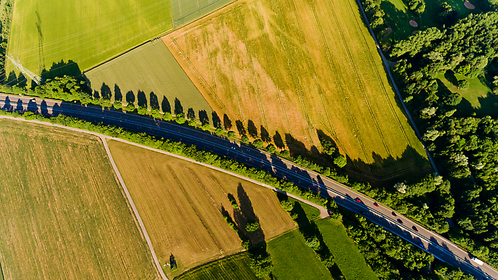 포토 JPG 해외이미지 나무 도로 여행 백그라운드 패턴 밭 교통시설 자동차 자연 벽지 거리 안테나 풍경 사람없음 야외 초록색 여름 컬러풀 태양 뷰티 노란색 맑음 운전 시골 고속도로 정상 숲 아스팔트 질감 통과 내추럴 루트 방법 해외포토 자연요소 식물 계절 길 육상교통 컬러 교통 무늬 농업 통신 모션 날씨 시설 생태계 파일형식 이미지허브