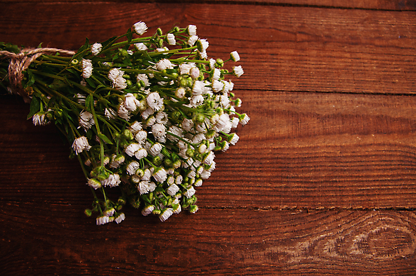 포토 JPG 해외이미지 꽃다발 봉투 실내 사람없음 축하 해외포토 꽃 컨셉 내부 파일형식 이미지허브