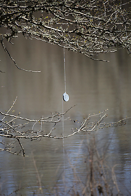 포토 JPG 해외이미지 선 스포츠 과학 백그라운드 자연 표면 낚시 취미 사람없음 야외 목재 세로 물 갈색 환경 수중 회색 나뭇가지 잡기 막대기 고리 황무지 코드 보호 은색 숲 묶기 유기농 생태계 나무껍질 충격 닻 서식지 삼림지대 생태학 얇은 해외포토 자연요소 나무 웰빙 교육 컬러 컨셉 재료 모션 레저 껍질 파일형식 이미지허브