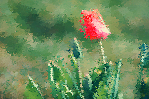 포토 JPG 해외이미지 식물 라이프스타일 계절 줄기 분홍색 컨셉 잎 성공 추상 새로움 사람없음 가로 햇빛 태양 새싹 환경 희망 페인트 봄 활발 성장 흰색 시골 신선 오픈 발사 5월 시작 원예 생물학 분무기 정맥 파열 개발 떠남 생태학 해외포토 자연요소 교육 감정 컬러 무늬 모션 취미 생활 날짜 혈관 파일형식 이미지허브