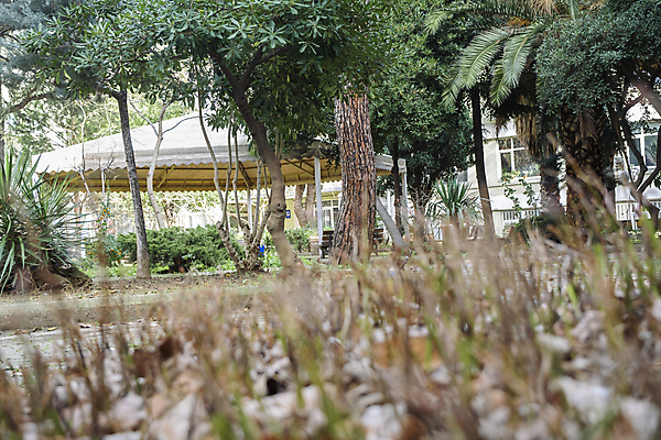 포토 JPG 해외이미지 나무 식물 계절 공원 꽃 백그라운드 컨셉 잎 패턴 밭 오렌지 자연 추상 사람없음 야외 초록색 빛 컬러풀 노란색 환경 정원 봄 벚꽃 흰색 숲 질감 보케 내추럴 떠남 블러 카피스페이스 해외포토 공공시설 컬러 무늬 농업 과일 모션 공백 생태계 파일형식 이미지허브