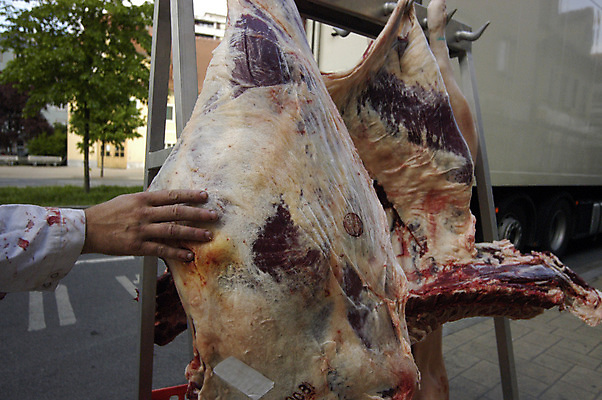 포토 JPG 해외이미지 직업 웰빙 음식 신체 회사 비즈니스 직장 건강 육류 사람없음 경제 요식업 업무 종업원 서비스 무역 질서 판매원 고용 영양소 정육점 해외포토 산업 식재료 상점 구직 예절 작업 채용 파일형식 이미지허브