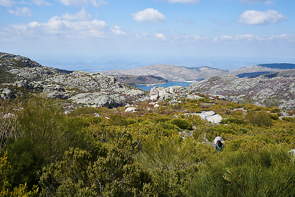 포토 JPG 해외이미지 공원 유럽 별 호수 여행 백그라운드 자연 산 파노라마 사람없음 야외 물 파란색 환경 저수지 포르투갈 순수 장면 석호 내추럴 전국 해외포토 자연요소 공공시설 나라 컬러 컨셉 촬영기법 생태계 파일형식 이미지허브